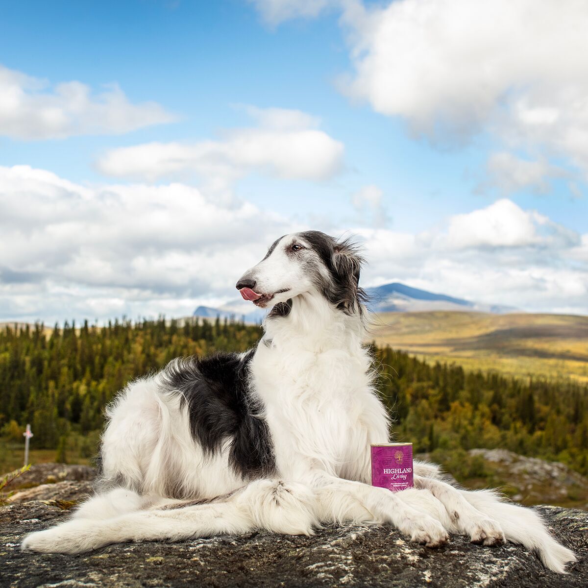 ESSENTIAL HIGHLAND LIVING PATÉ 400g